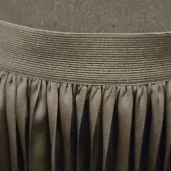 Sold: Rachel Zoe Pleated Maxi Skirt--Never Worn - Picture 2 of 3